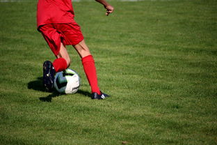 九游娱乐官方平台-中超球队球员年龄结构，中超球队平均年龄