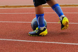 九游下载中心-CBA新赛季全面开打各队实力全面升级，cba新赛季有哪些球队